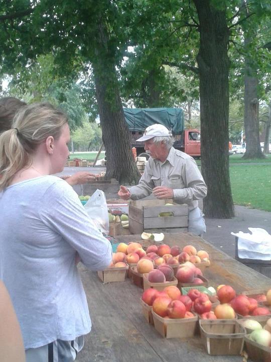 Photo from the Northside Farmer's Market.