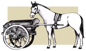 horse cart