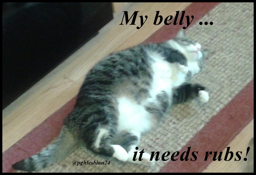 BellyRubs