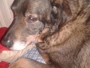 Deus was a little woeful about his vinegar spritz.