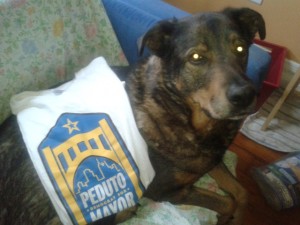 City Dogs For Peduto! 