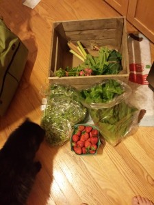 Simon inspects the delivery.