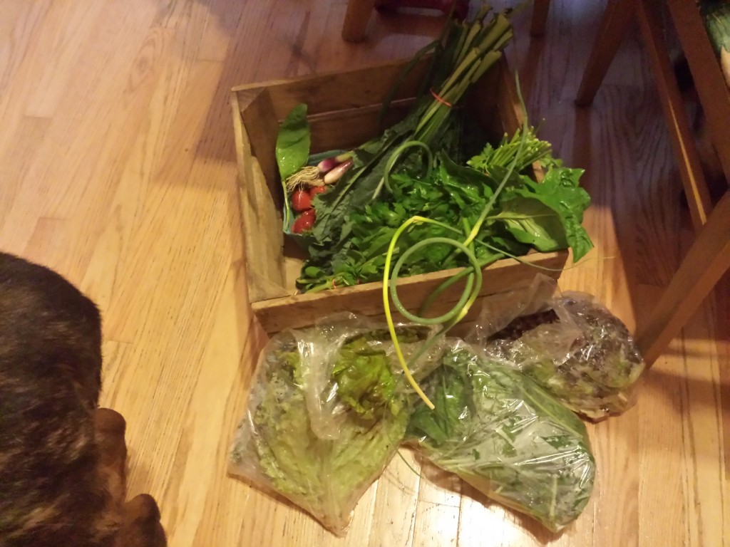 Pittsburgh CSA