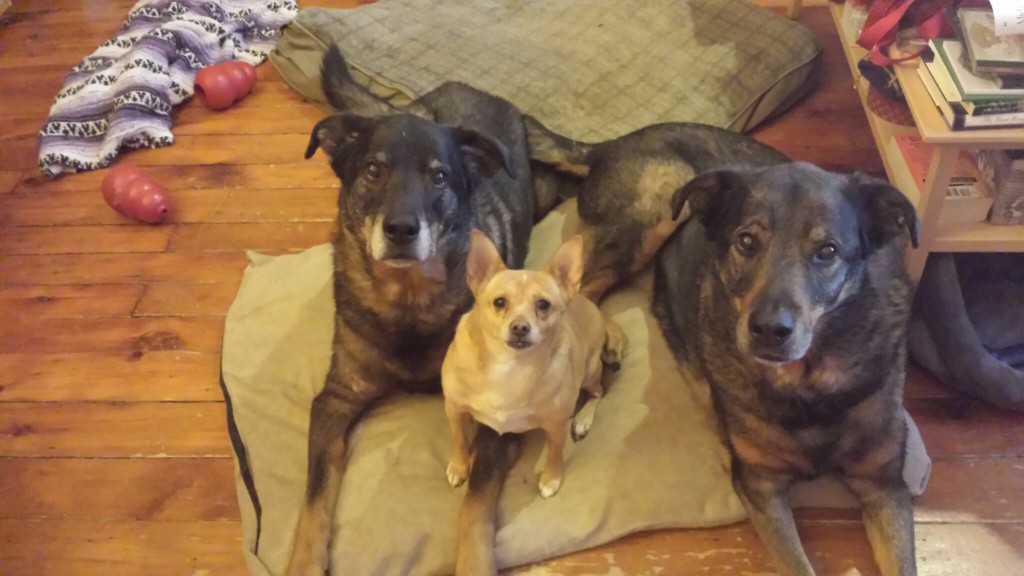 Family Portrait