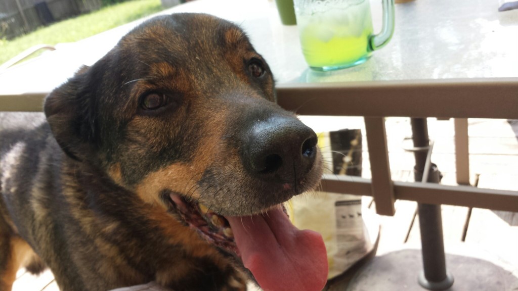 Xander August 2015