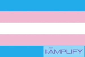 trans-flagamplify