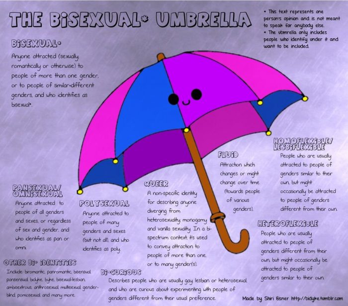 Bisexual Umbrella