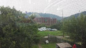 Western Pennsylvania Humane Society