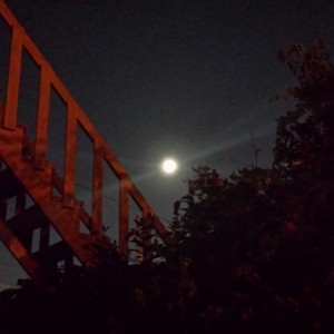 Moon