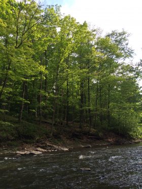 bisexual allegheny county
