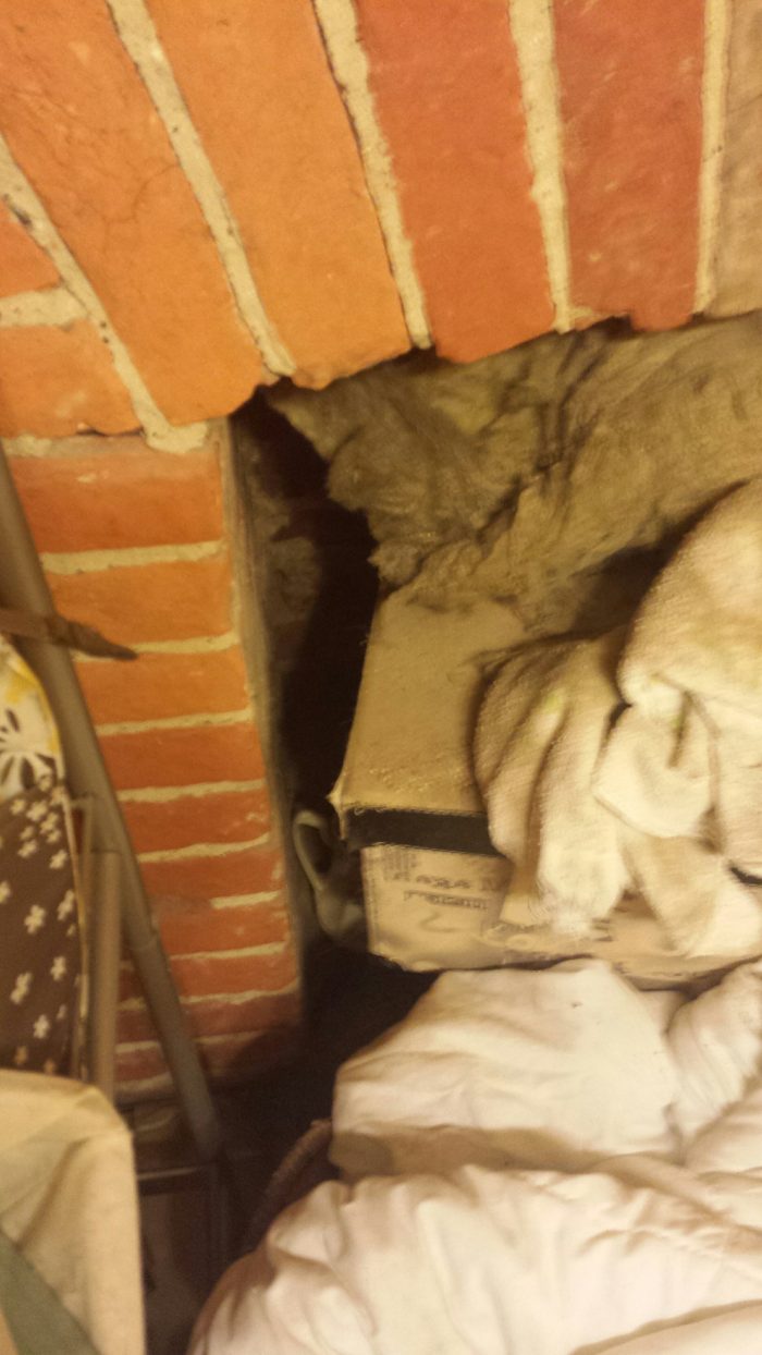 Collapsed ceiling