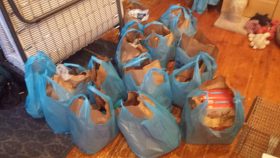 Giant Eagle Curbside Express Delivery