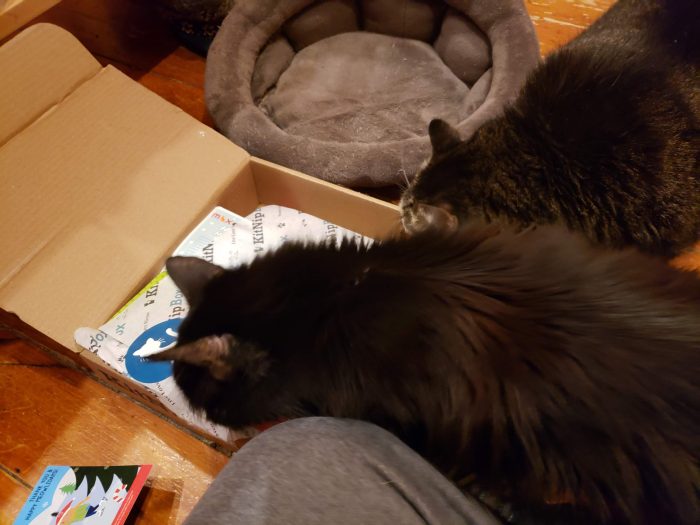 KitnipBox