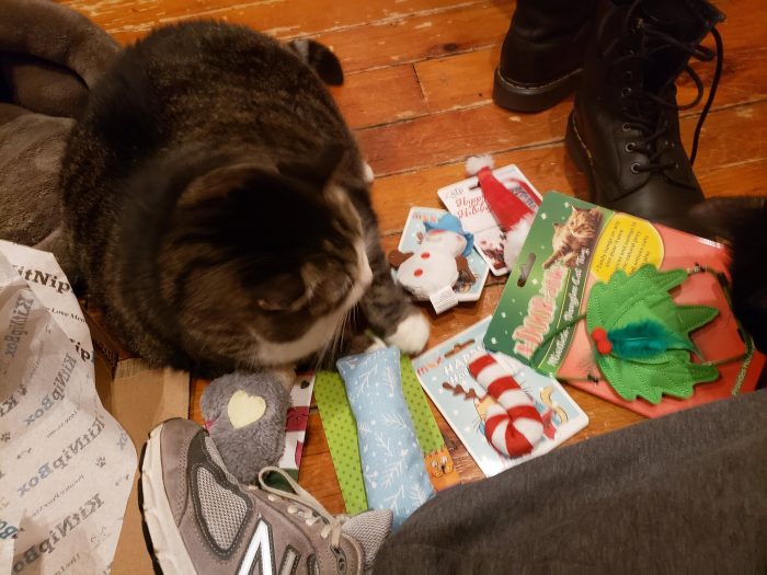 KitnipBox