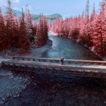 queer family of choice