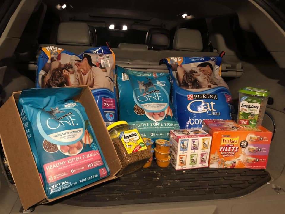 Cat Food Drive Pittsburgh