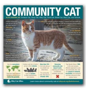 Pittsburgh Cat Food Drive