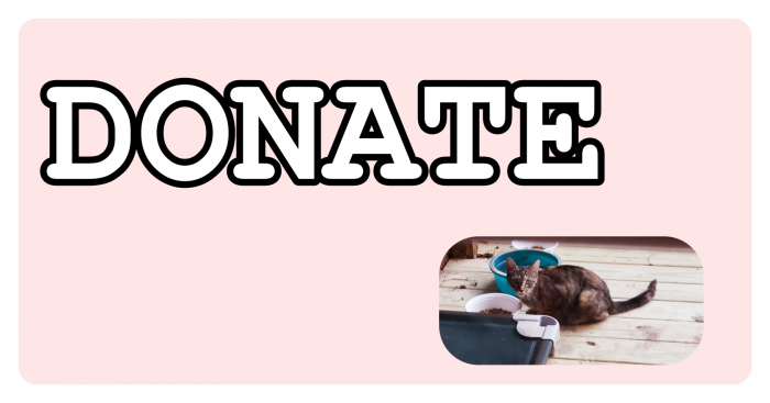 Homeless Cat Donations