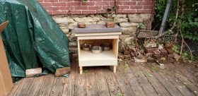 Pittsburgh Feral Cats