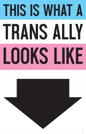 Lesbian Transgender Ally