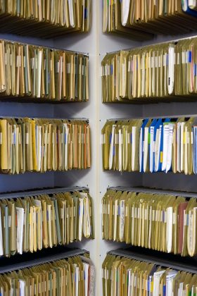 ACDC Trump Supporter Files