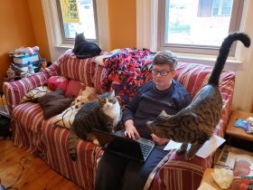 Working from home with pets