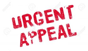 Urgent Appeal for Student Face Masks