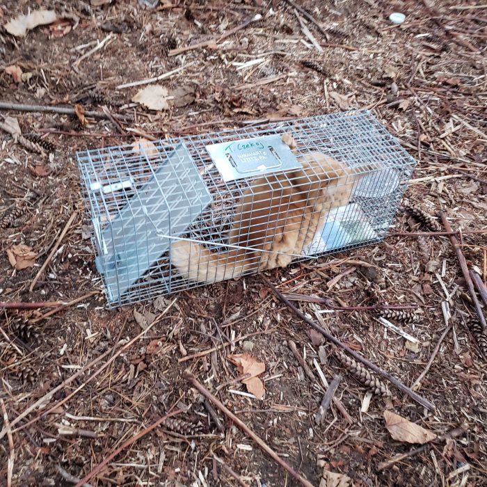 TNR Pittsburgh