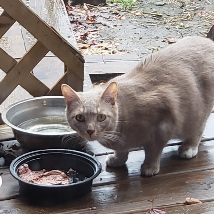 TNR Pittsburgh