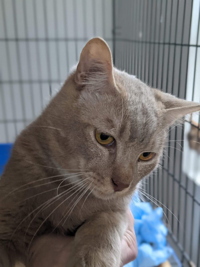 TNR Pittsburgh