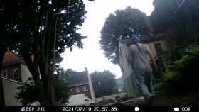 Travails of the Yinzer