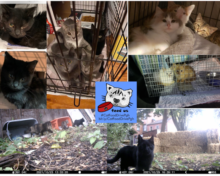 Pittsburgh Pet Food Projects