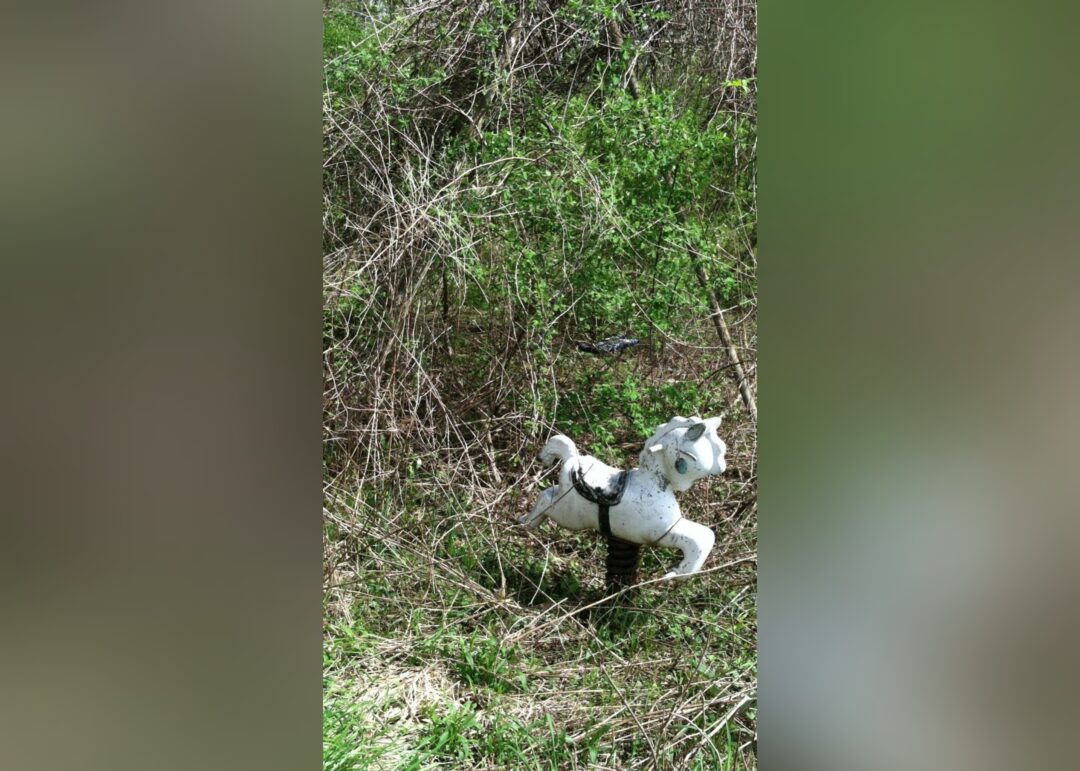 Generation X childhood