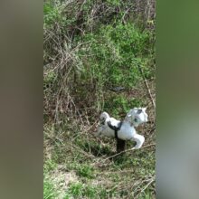 Generation X childhood