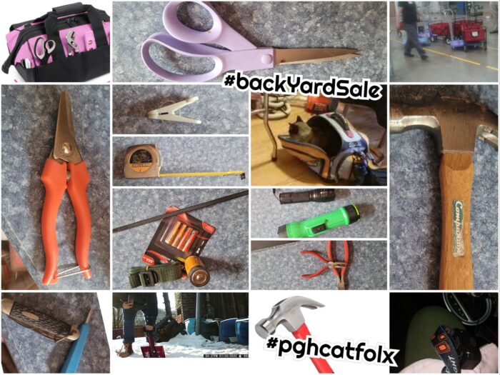 What to donate to help cats