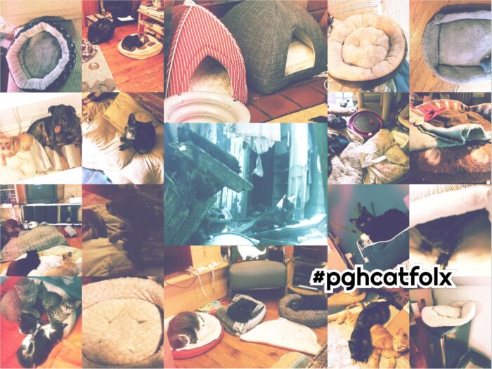 where to donate cat beds