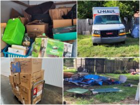 Volunteer Opportunities to Help Animals