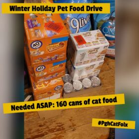 pet food drive cat lady
