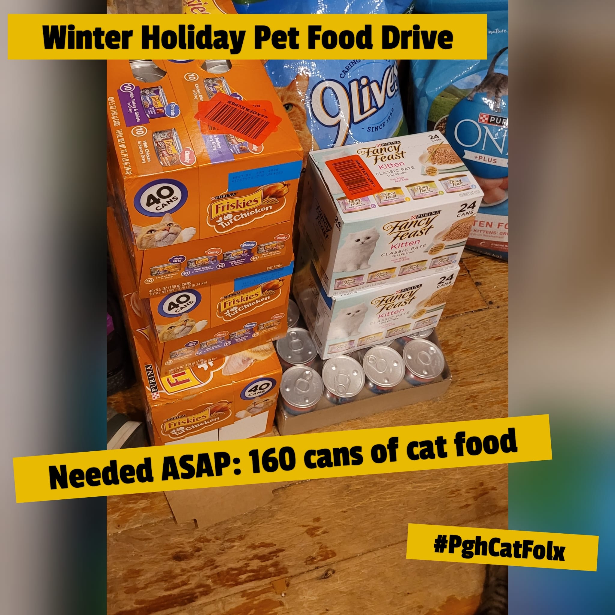 pet food drive cat lady